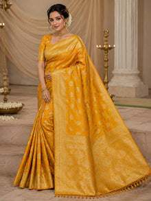 Hemangi Banarasi Zardousi - Banarasi Waves thumbnail 1
